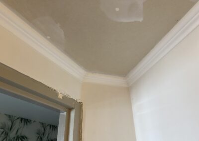 Plafond suspendu corniche toilettes rénovation